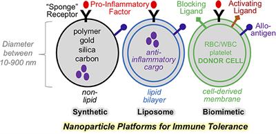 Nanoparticle Platforms for Antigen-Specific Immune Tolerance